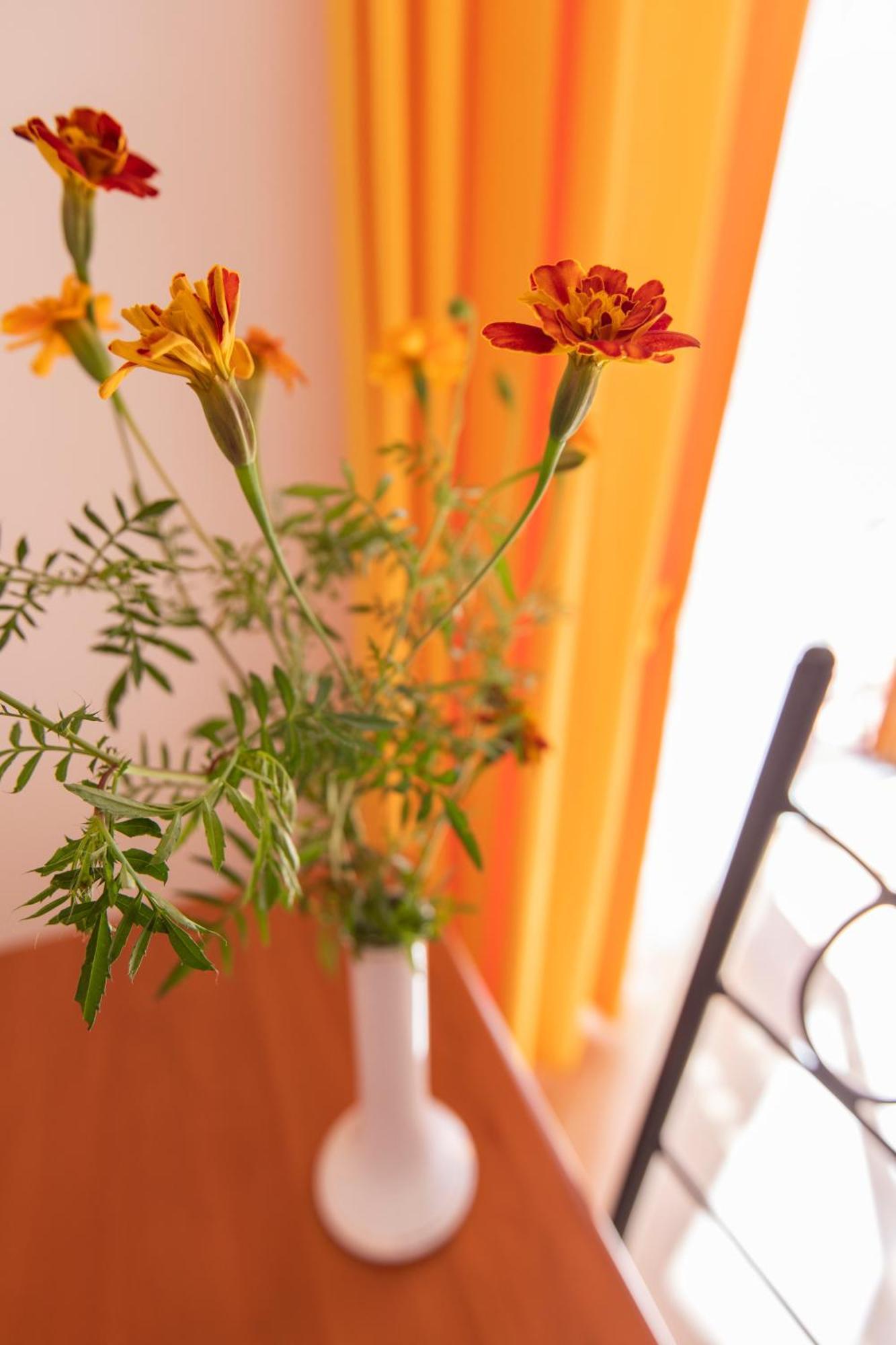 Sant'Anna Bed & Breakfast Agerola Ngoại thất bức ảnh