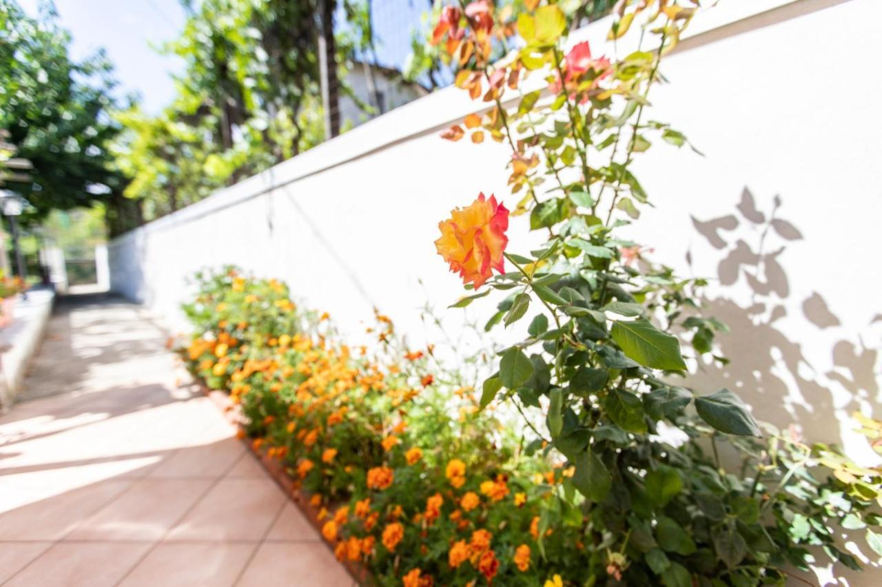 Sant'Anna Bed & Breakfast Agerola Ngoại thất bức ảnh